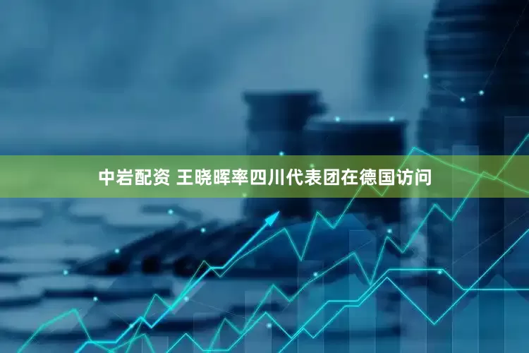 中岩配资 王晓晖率四川代表团在德国访问