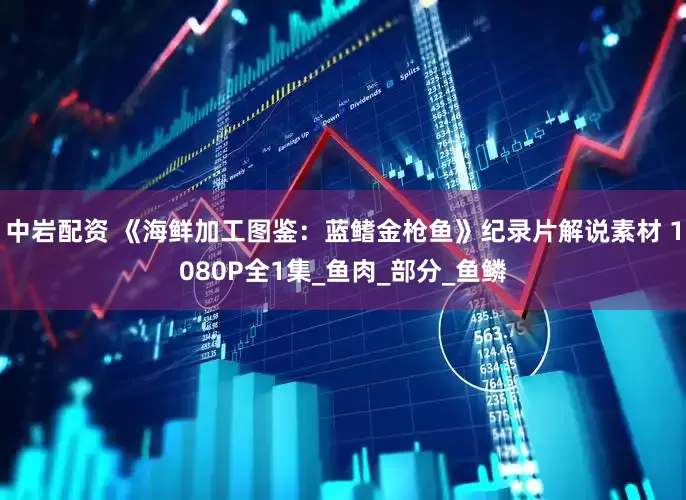 中岩配资 《海鲜加工图鉴：蓝鳍金枪鱼》纪录片解说素材 1080P全1集_鱼肉_部分_鱼鳞